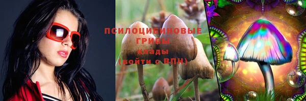 индика Магадан
