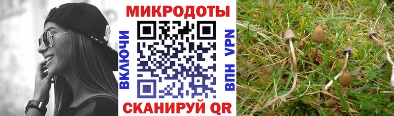 где можно купить Новокузнецк даркнет телеграм Псилоцибиновые грибы GOLDEN TEACHER кракен маркетплейс
