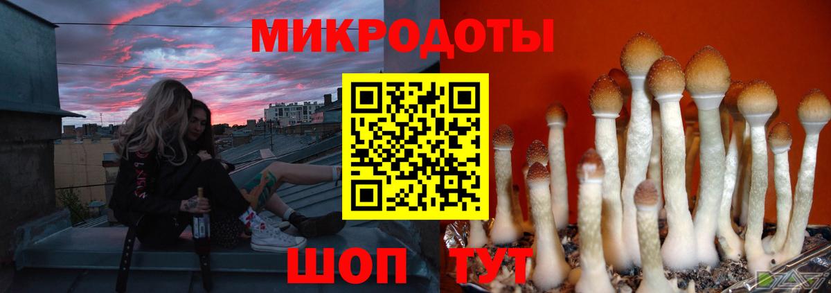 Псилоцибиновые грибы прущие грибы  Вход с VPN  Новокузнецк  Галлюциногенные грибы Cubensis 